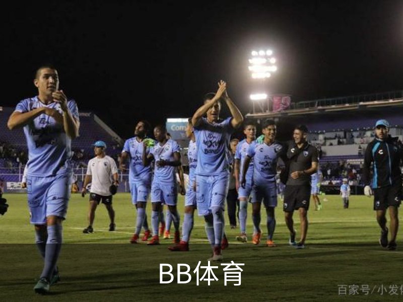 关于BB体育